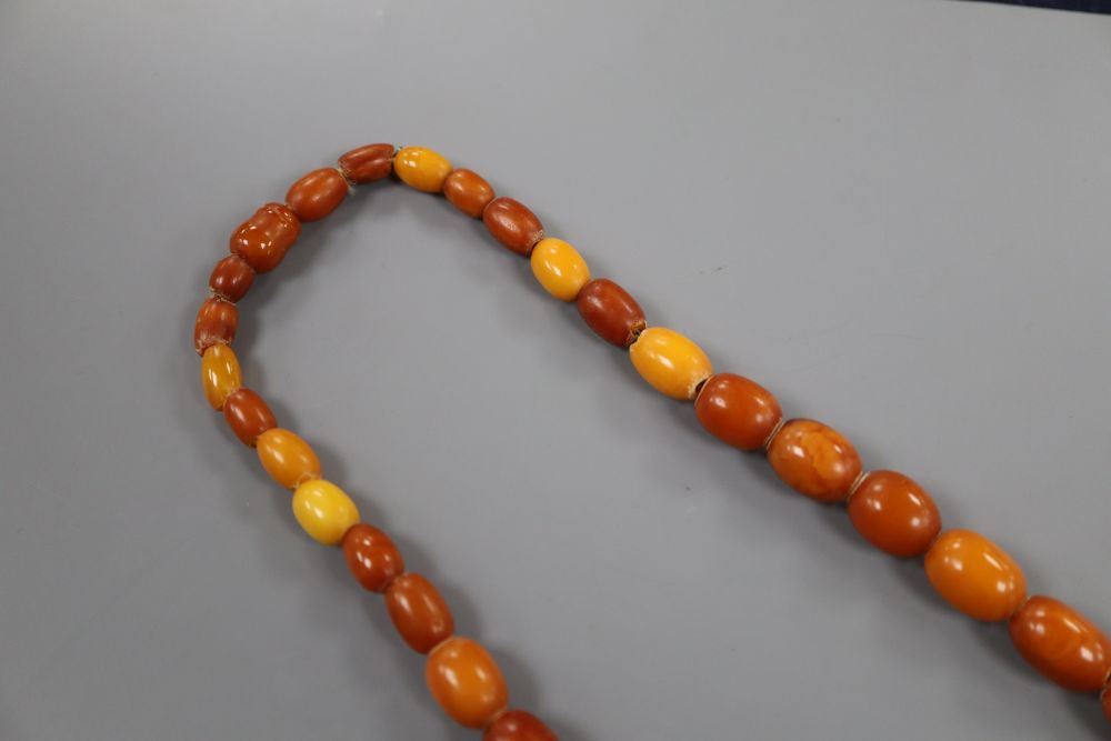 A single strand graduated oval amber bead necklace, 61cm, gross 39 grams.